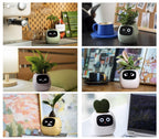 Pot de plante intelligent & connecté