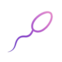 Produits Fertilité